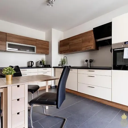 Apartman Pineapple Altstadt Ii - 124 Qm - 1x Free Parking