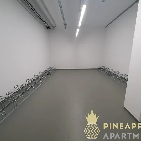 Pineapple - Altstadt Ii - 124qm - 1x Free Parking 公寓 德累斯顿